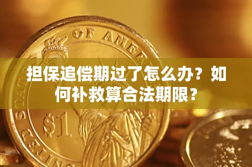 北京担保追偿期过了怎么办？如何补救算合法期限？