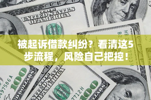北京被起诉借款纠纷？看清这5步流程，风险自己把控！